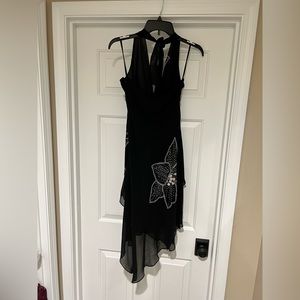 BCBG chiffon dress with beautiful embroidery